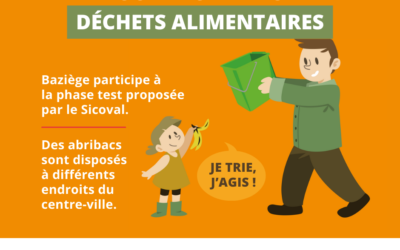 Collecte des déchets alimentaires