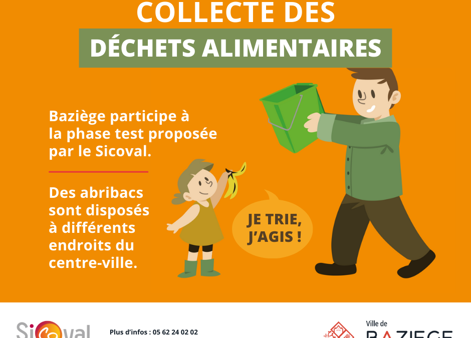 Collecte des déchets alimentaires